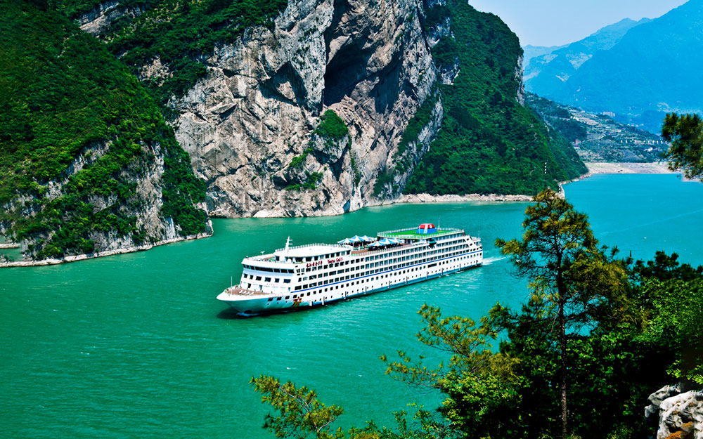 黃(huáng)金(jīn)3号