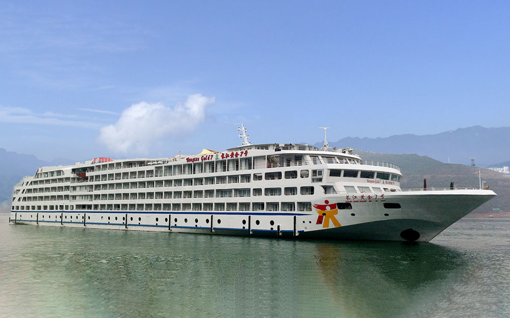 黃(huáng)金(jīn)7号